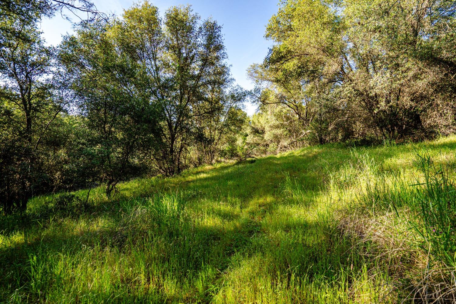 Detail Gallery Image 3 of 10 For 15334 Metcalf Rd, Grass Valley,  CA 95949 - – Beds | – Baths