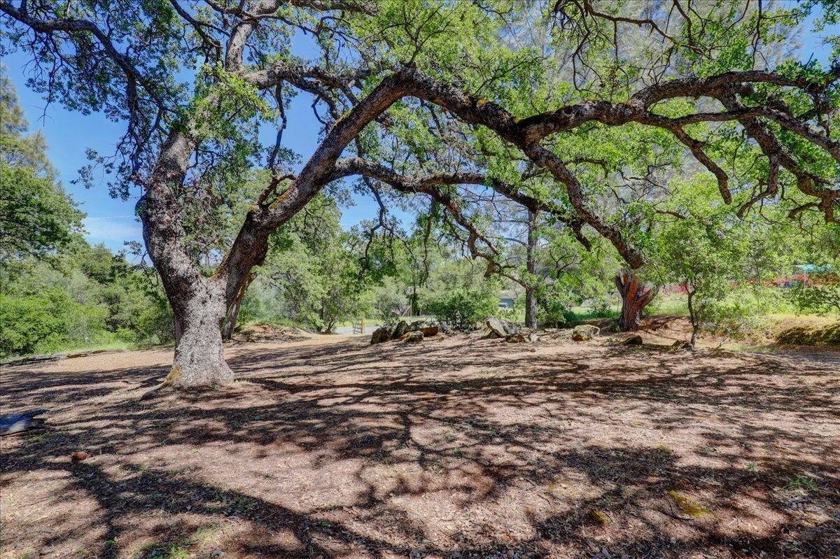 Detail Gallery Image 4 of 47 For 21323 Bald Ridge Dr, Penn Valley,  CA 95946 - – Beds | – Baths