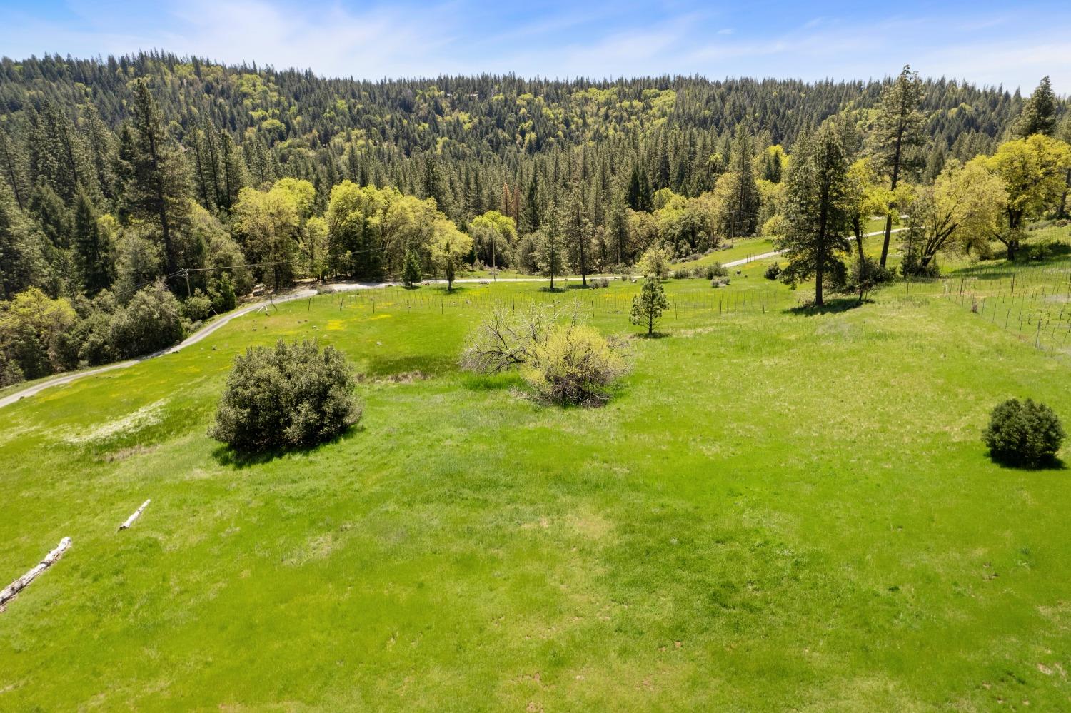 Detail Gallery Image 67 of 72 For 25624 Sherwood Dr, Pioneer,  CA 95666 - 3 Beds | 3 Baths