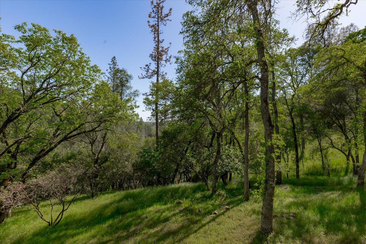 Detail Gallery Image 33 of 56 For 6990 Tamalpais Rd, Garden Valley,  CA 95633 - 3 Beds | 2 Baths