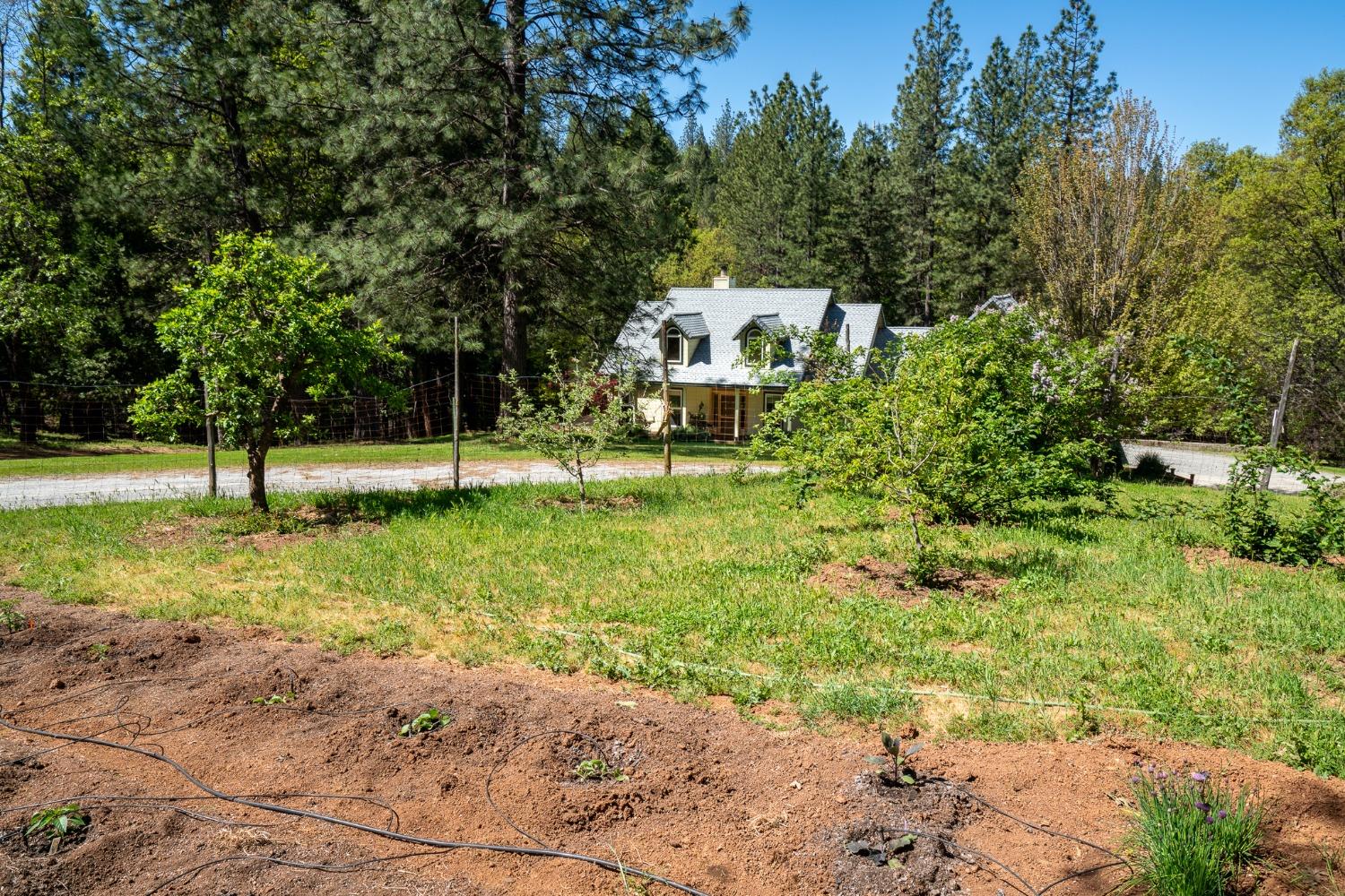 Detail Gallery Image 11 of 52 For 3070 Dogwood Creek Rd, Rail Road Flat,  CA 95248 - 3 Beds | 2/1 Baths