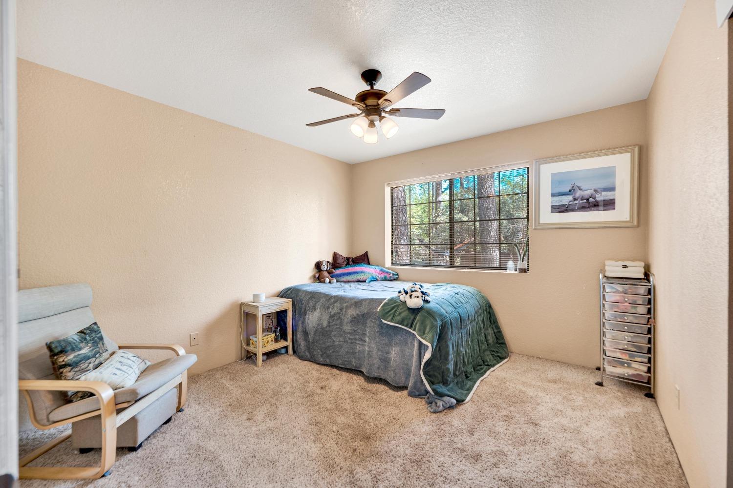 Detail Gallery Image 21 of 44 For 6440 Longridge Ct, Foresthill,  CA 95631 - 3 Beds | 2 Baths