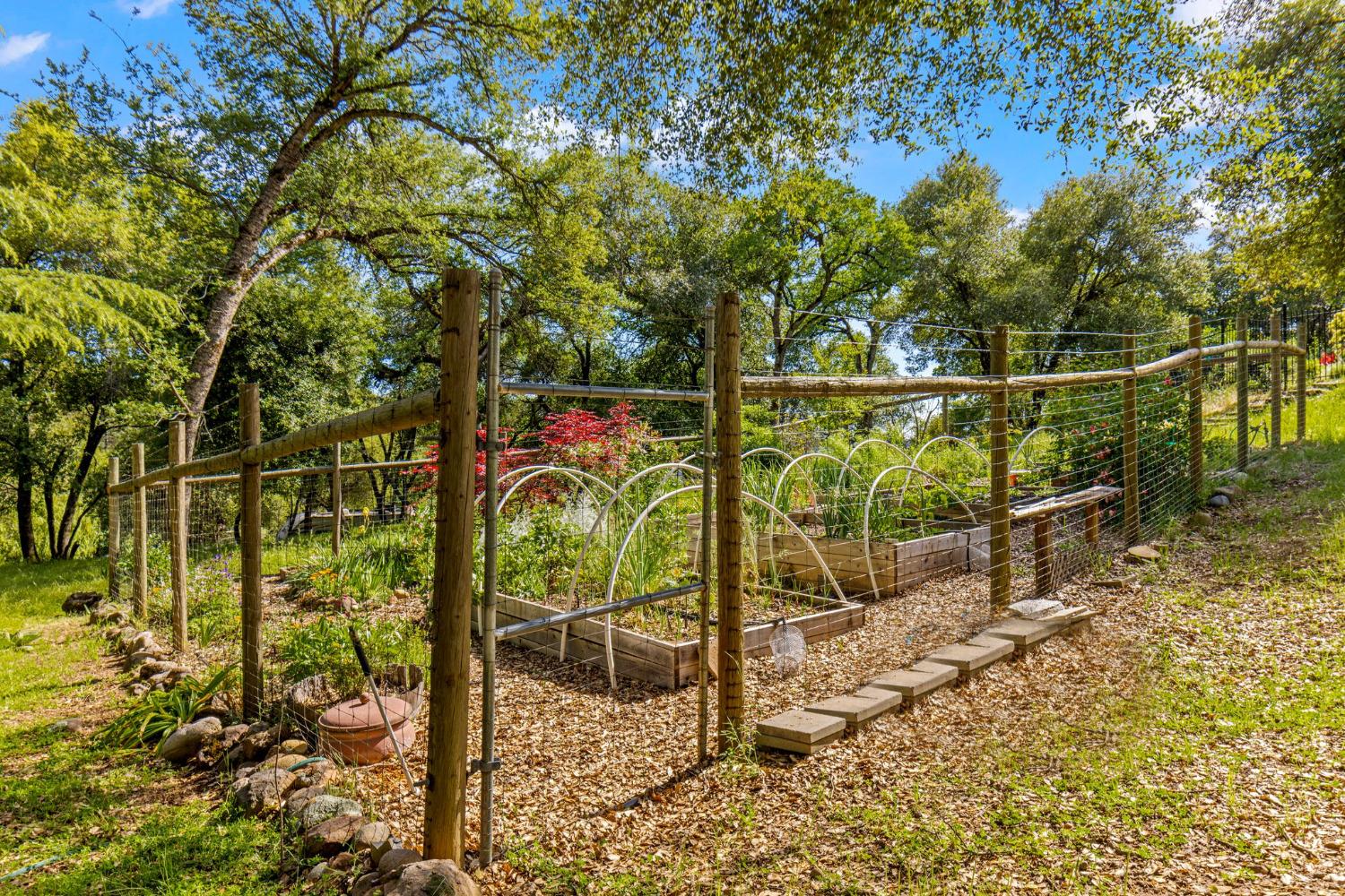 Detail Gallery Image 53 of 57 For 3200 Texas Hill Rd, Placerville,  CA 95667 - 4 Beds | 2 Baths