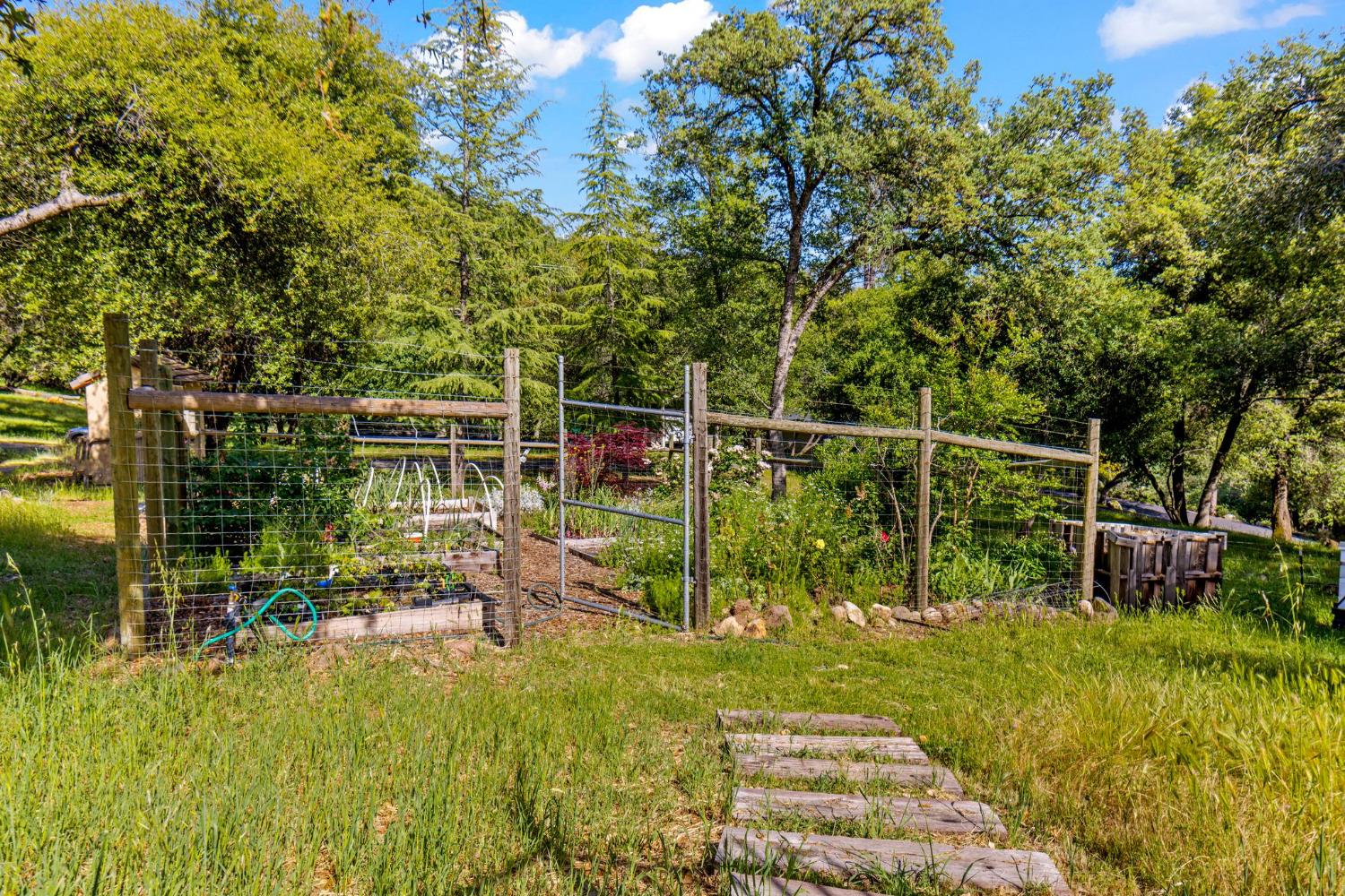 Detail Gallery Image 51 of 57 For 3200 Texas Hill Rd, Placerville,  CA 95667 - 4 Beds | 2 Baths