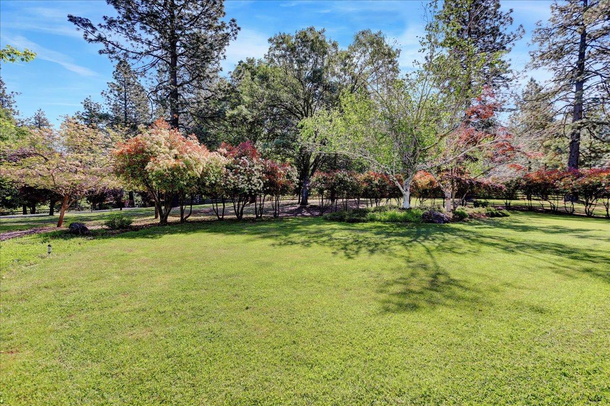 Detail Gallery Image 91 of 99 For 2272 Ridge Rd, Grass Valley,  CA 95945 - 3 Beds | 2/1 Baths