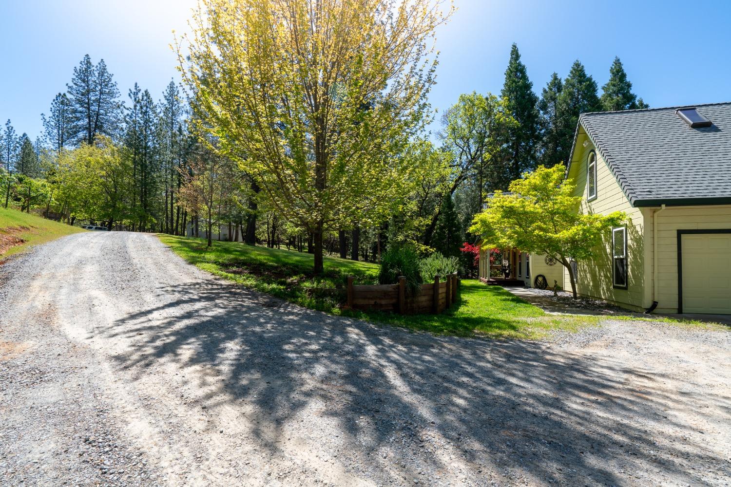 Detail Gallery Image 19 of 52 For 3070 Dogwood Creek Rd, Rail Road Flat,  CA 95248 - 3 Beds | 2/1 Baths