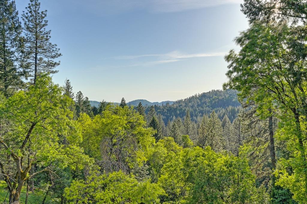 Detail Gallery Image 44 of 61 For 5031 Shooting Star Rd, Pollock Pines,  CA 95726 - 4 Beds | 2/2 Baths