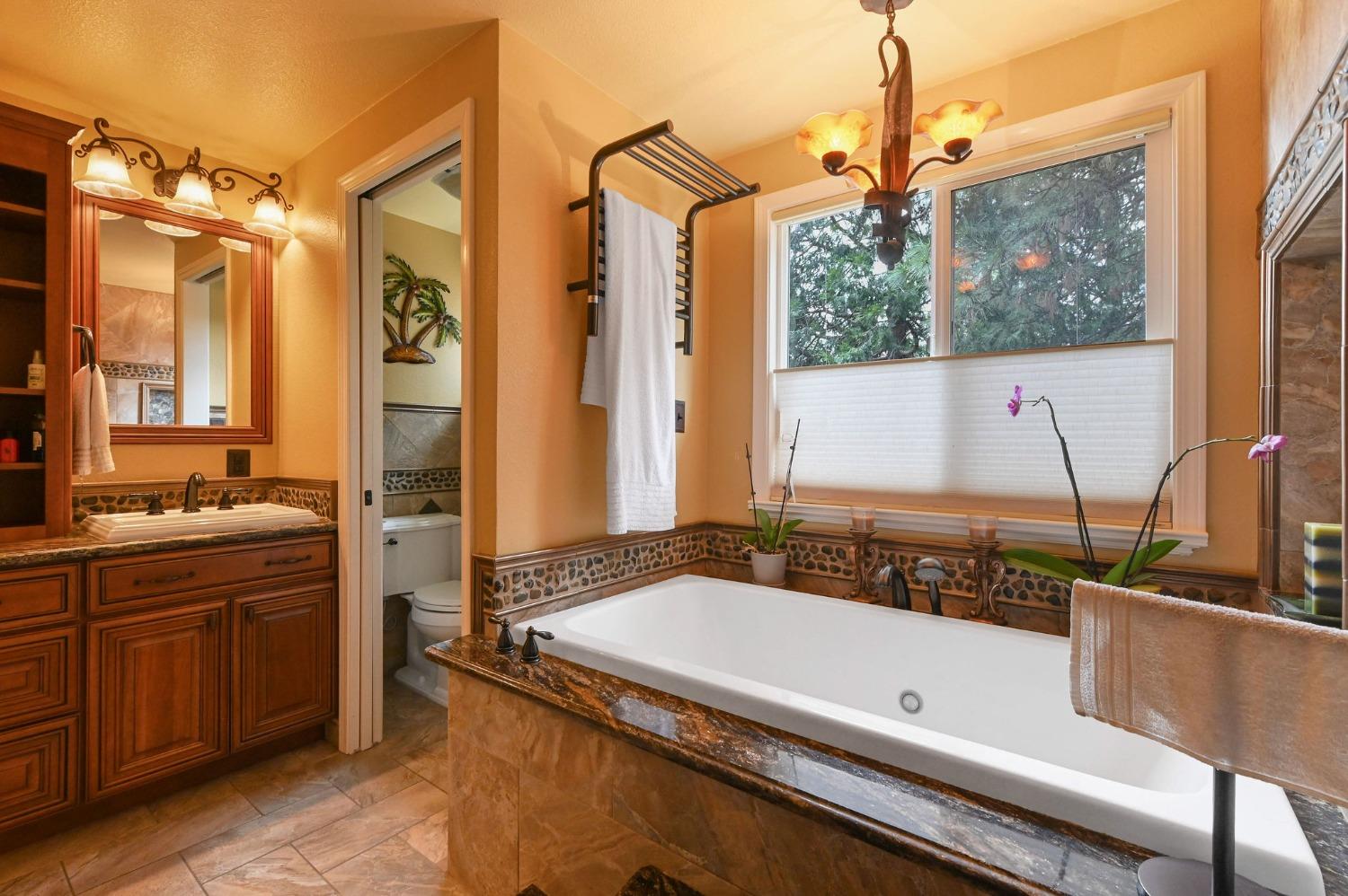 Detail Gallery Image 21 of 98 For 22253 Meadowbrook Dr, Pine Grove,  CA 95665 - 3 Beds | 2/1 Baths