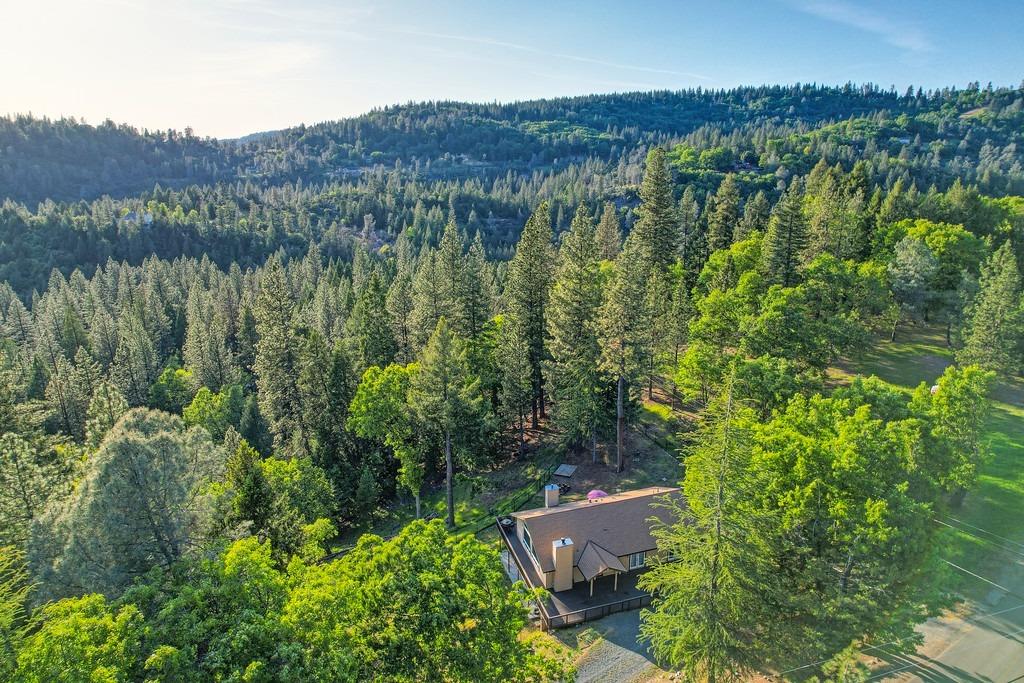 Detail Gallery Image 56 of 61 For 5031 Shooting Star Rd, Pollock Pines,  CA 95726 - 4 Beds | 2/2 Baths