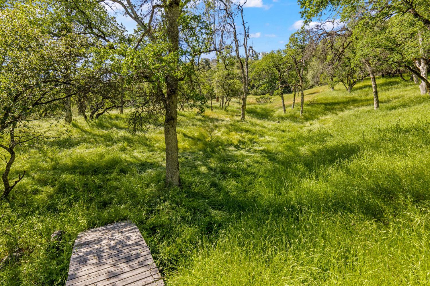 Detail Gallery Image 46 of 57 For 3200 Texas Hill Rd, Placerville,  CA 95667 - 4 Beds | 2 Baths