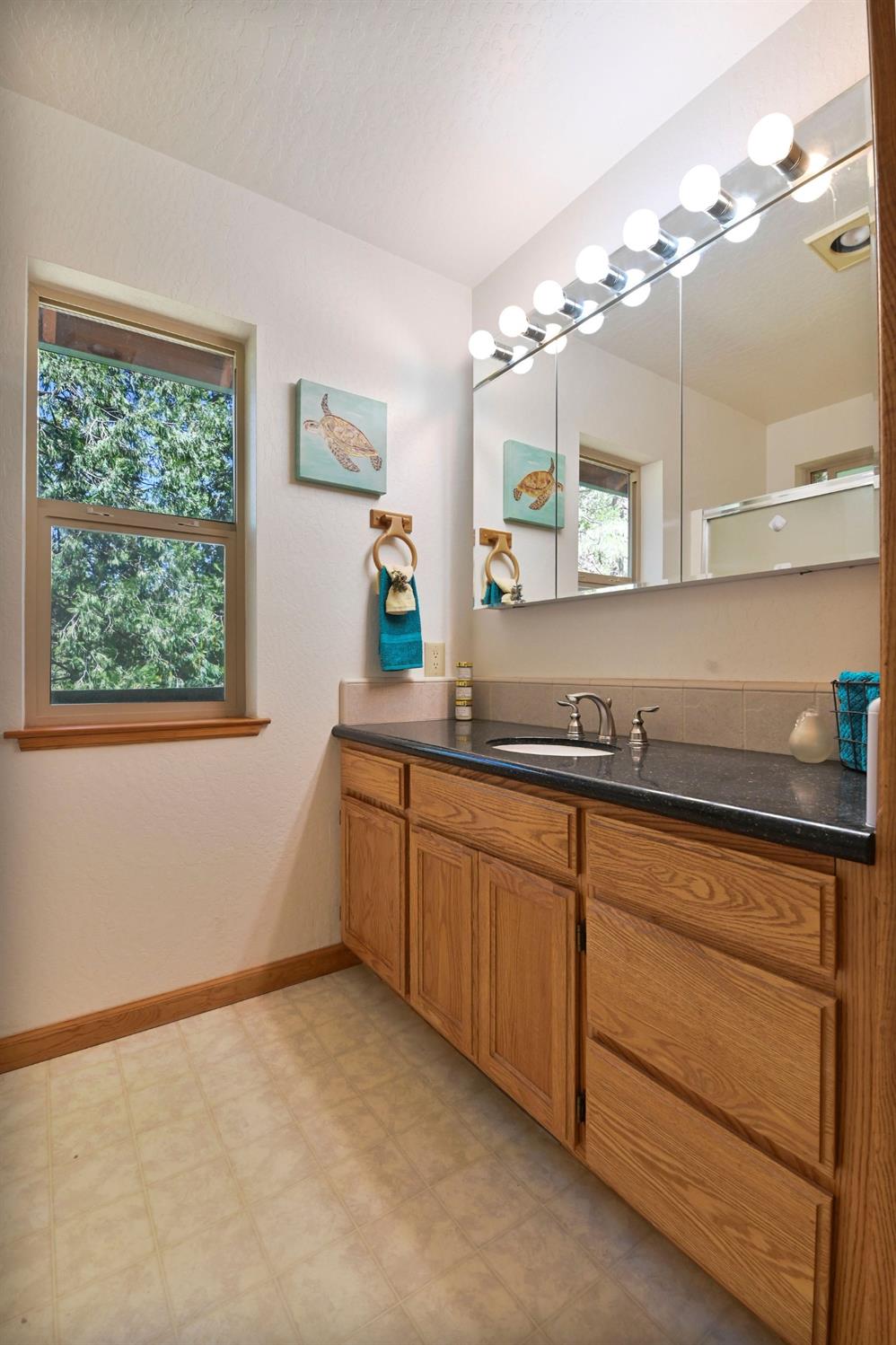 Detail Gallery Image 28 of 53 For 23727 Fremont, Twain Harte,  CA 95383 - 3 Beds | 2 Baths