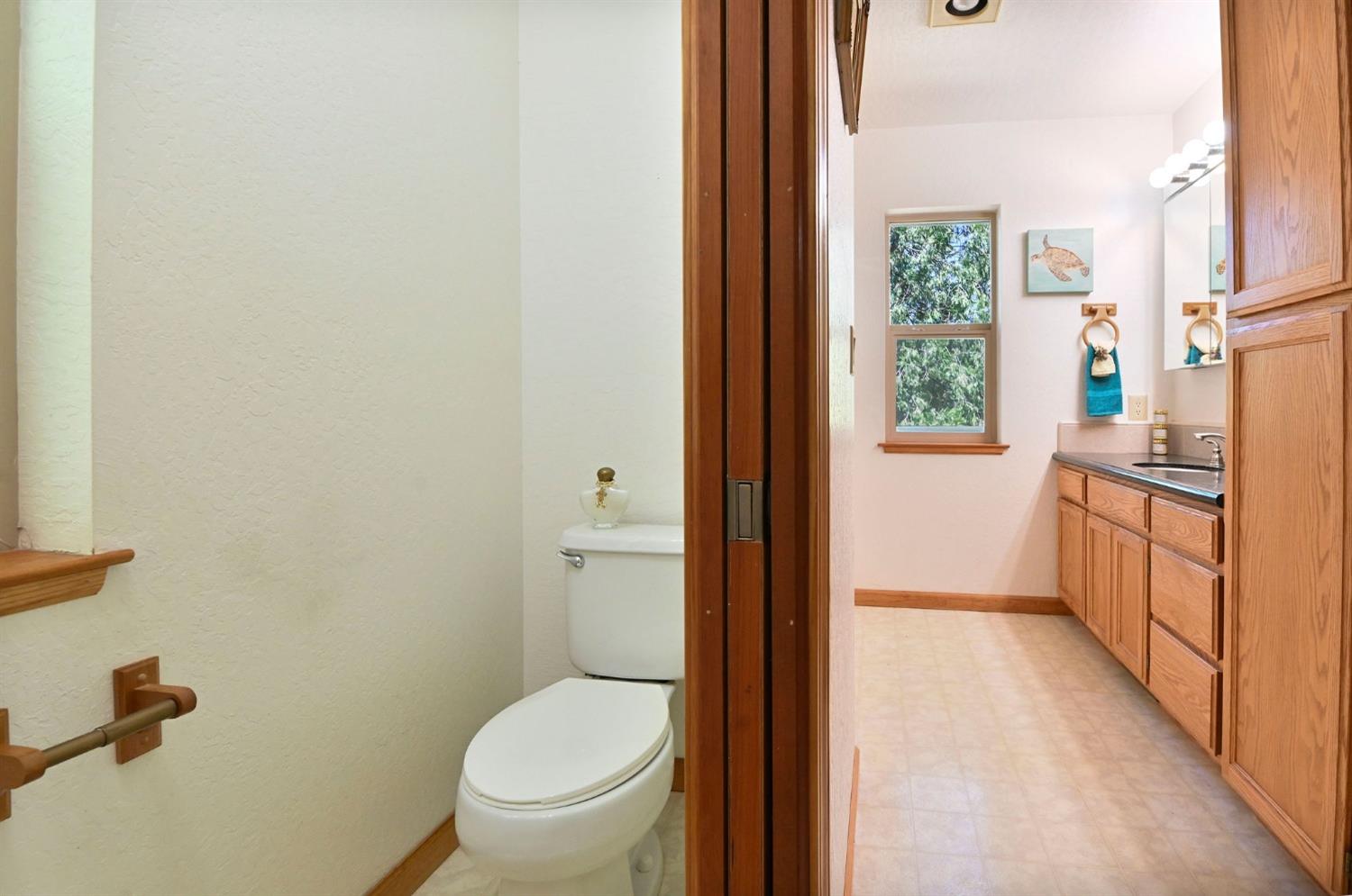 Detail Gallery Image 25 of 53 For 23727 Fremont, Twain Harte,  CA 95383 - 3 Beds | 2 Baths