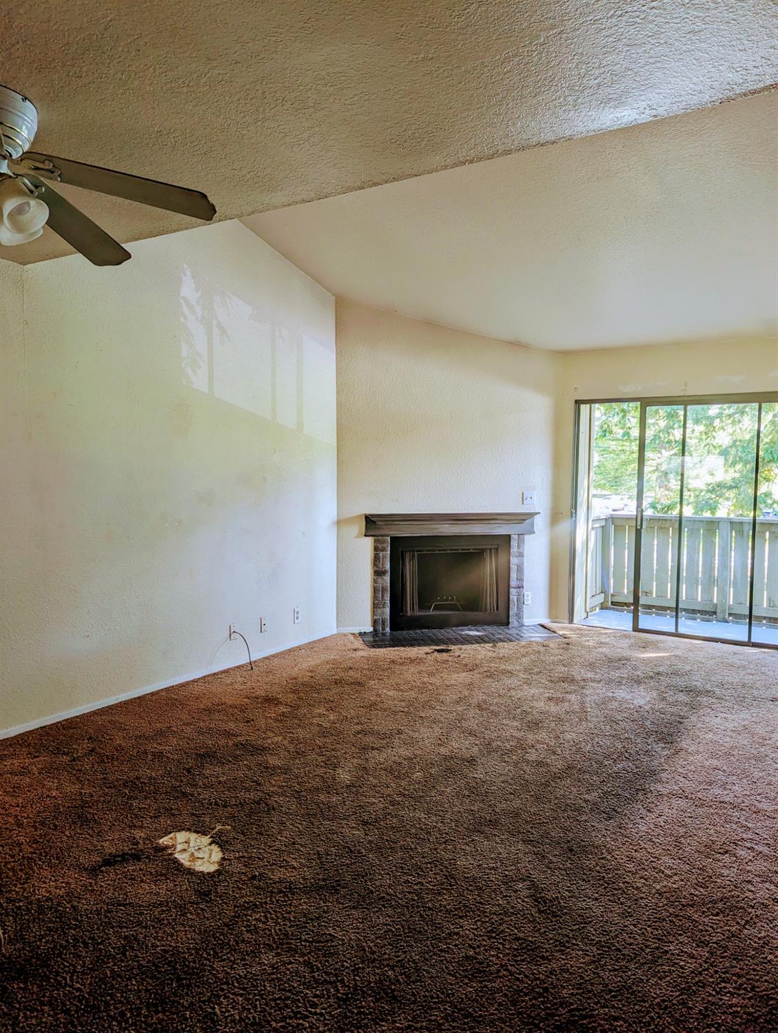 Photo #4: 224048338 Listing 