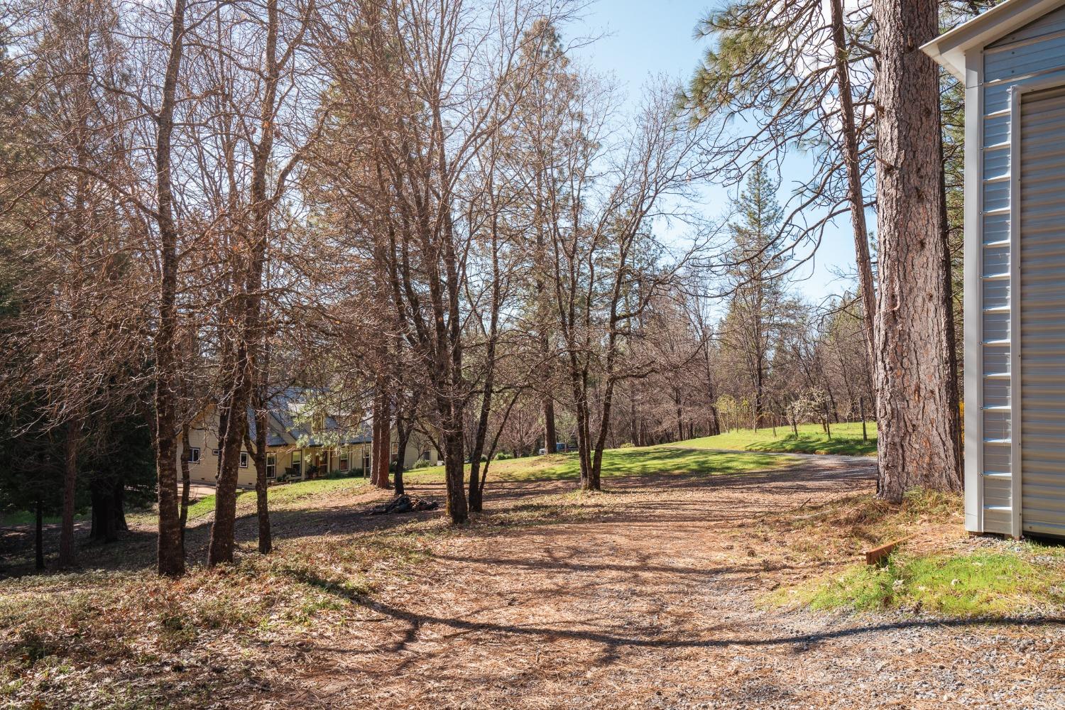 Detail Gallery Image 28 of 52 For 3070 Dogwood Creek Rd, Rail Road Flat,  CA 95248 - 3 Beds | 2/1 Baths