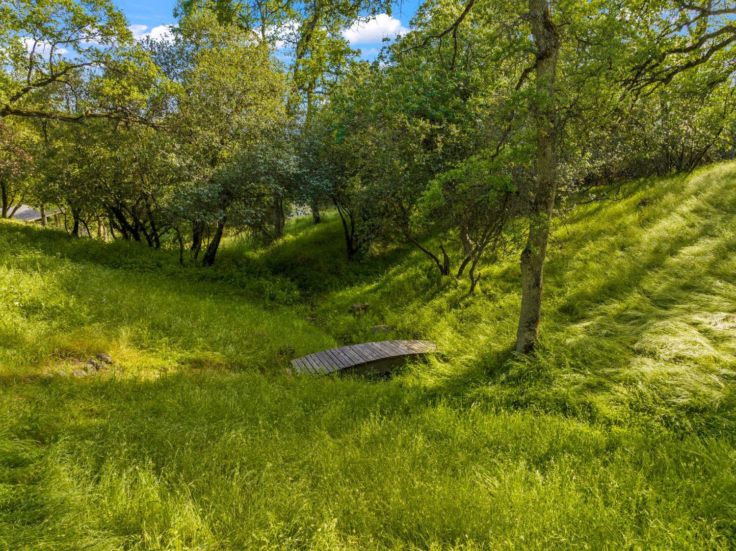 Detail Gallery Image 54 of 57 For 3200 Texas Hill Rd, Placerville,  CA 95667 - 4 Beds | 2 Baths