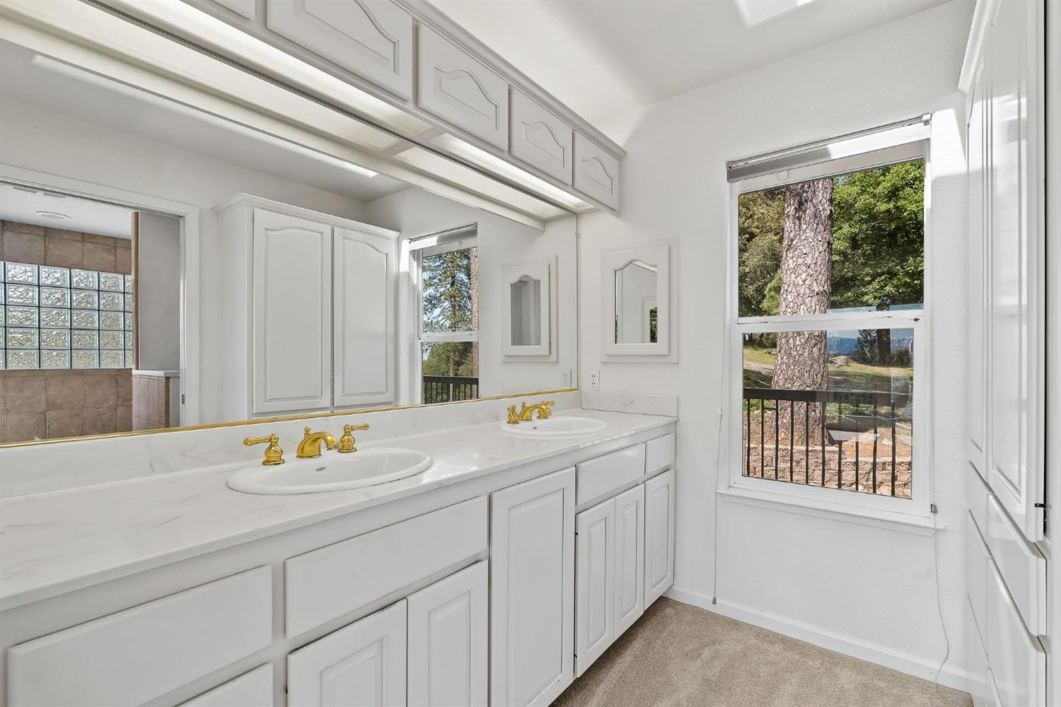 Detail Gallery Image 24 of 42 For 18989 Leona Ln, Pine Grove,  CA 95665 - 3 Beds | 3/1 Baths