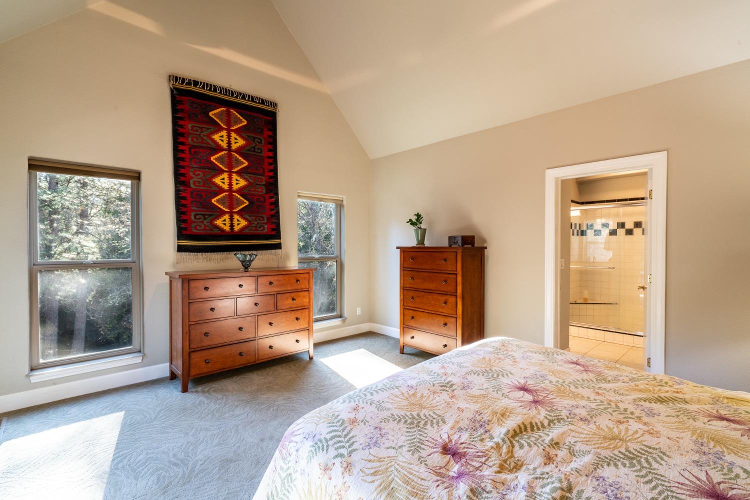 Detail Gallery Image 40 of 52 For 3070 Dogwood Creek Rd, Rail Road Flat,  CA 95248 - 3 Beds | 2/1 Baths