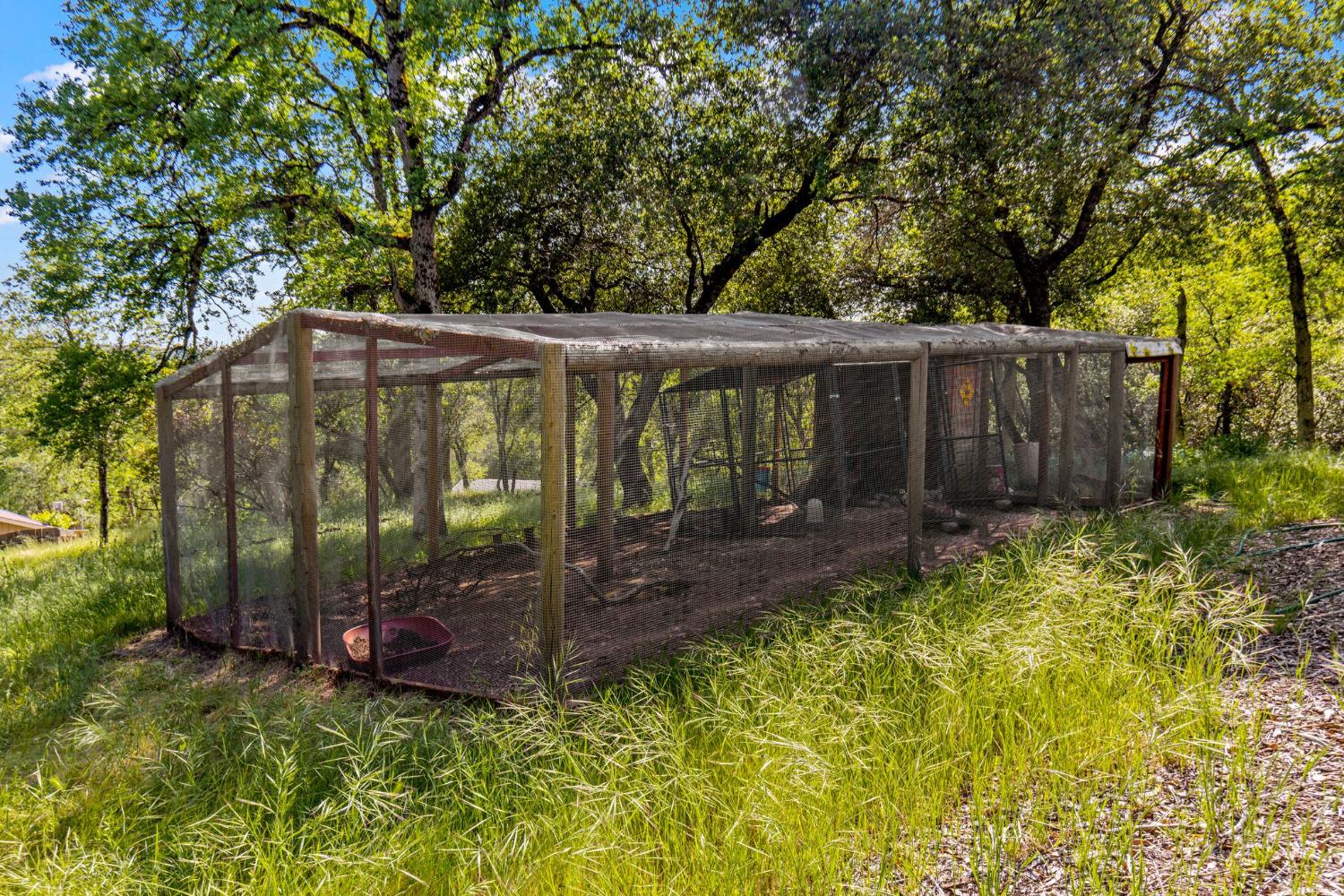 Detail Gallery Image 50 of 57 For 3200 Texas Hill Rd, Placerville,  CA 95667 - 4 Beds | 2 Baths