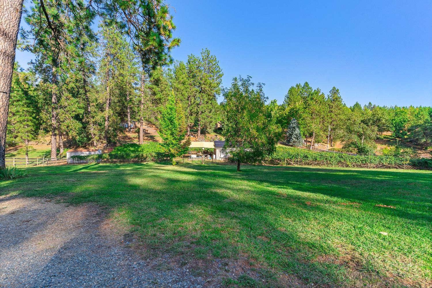 Detail Gallery Image 32 of 57 For 10550 Round Valley Rd, Grass Valley,  CA 95949 - 4 Beds | 3 Baths