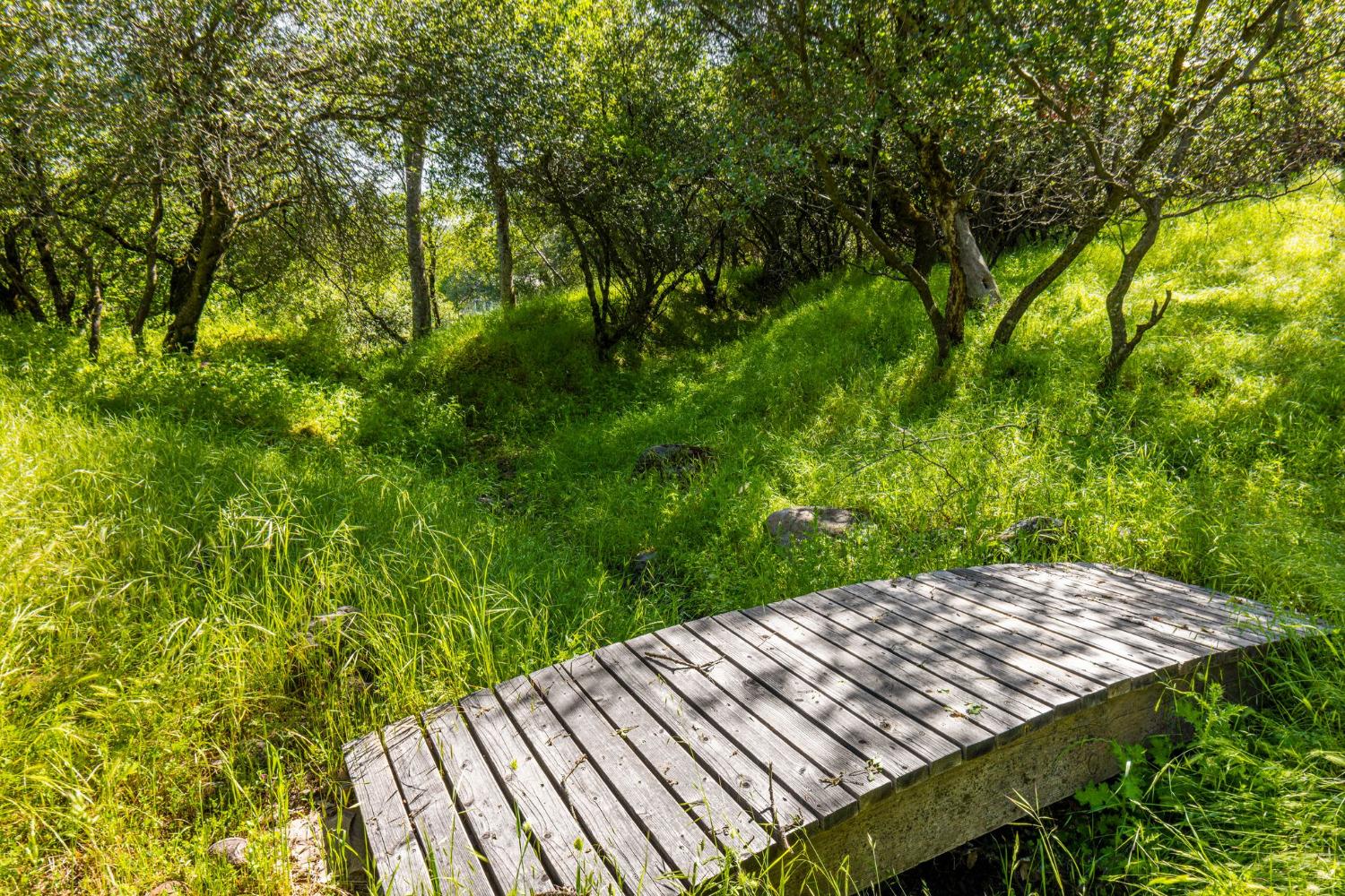 Detail Gallery Image 47 of 57 For 3200 Texas Hill Rd, Placerville,  CA 95667 - 4 Beds | 2 Baths