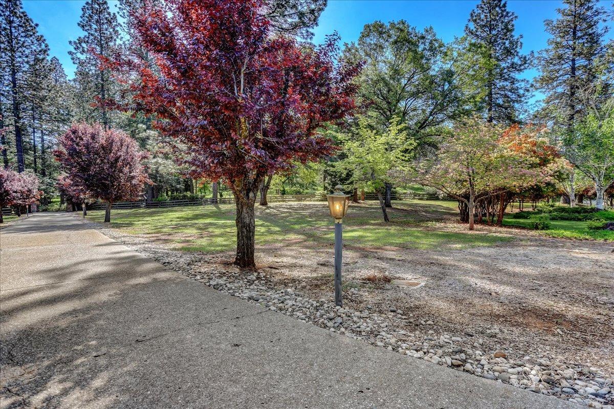 Detail Gallery Image 61 of 99 For 2272 Ridge Rd, Grass Valley,  CA 95945 - 3 Beds | 2/1 Baths