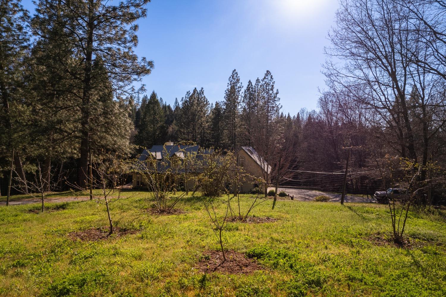 Detail Gallery Image 29 of 52 For 3070 Dogwood Creek Rd, Rail Road Flat,  CA 95248 - 3 Beds | 2/1 Baths