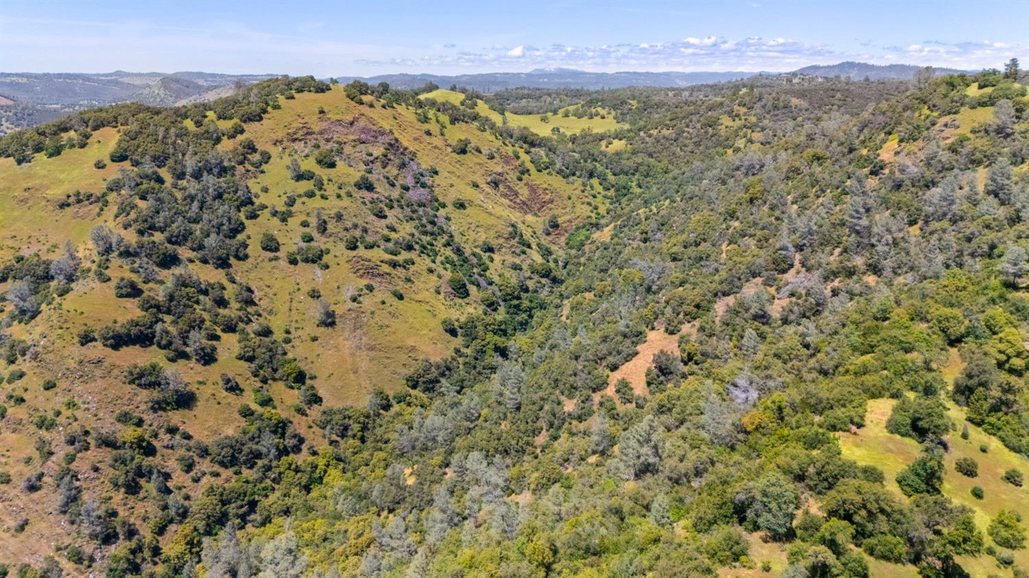 Fraguero Road, Sonora, California image 10