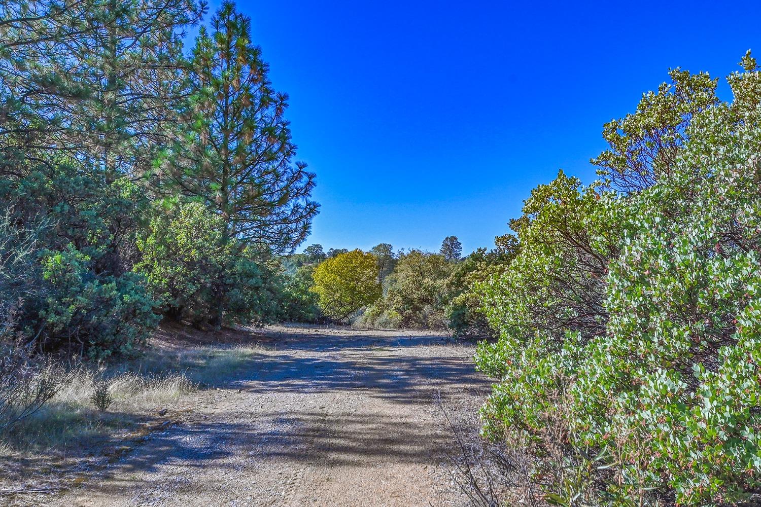 Detail Gallery Image 8 of 17 For 6321 Claim St, Placerville,  CA 95667 - – Beds | – Baths