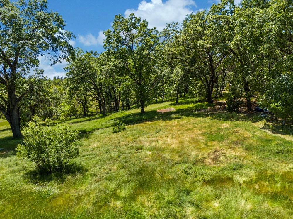 Detail Gallery Image 49 of 62 For 2400 Bodega Way, Placerville,  CA 95667 - 3 Beds | 2 Baths