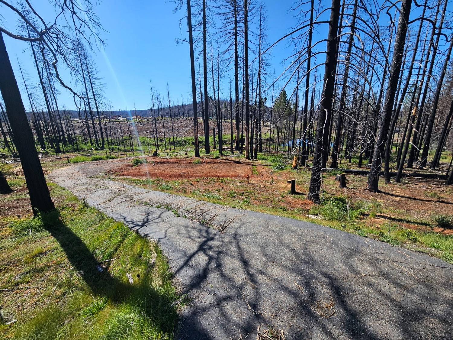 String Canyon Road, Grizzly Flats, California image 2