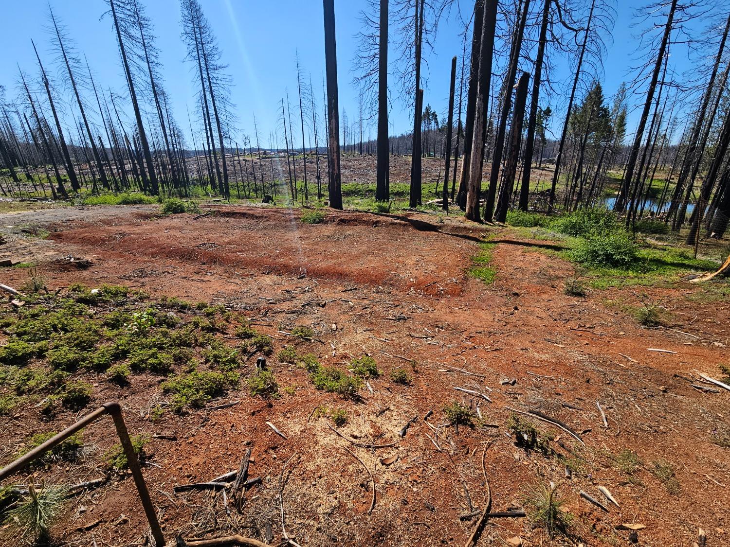 String Canyon Road, Grizzly Flats, California image 7