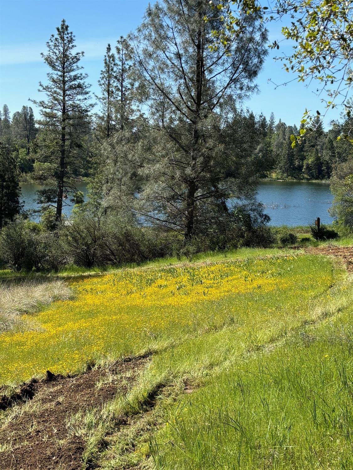 Detail Gallery Image 1 of 1 For 6360 Claim St, Placerville,  CA 95667 - – Beds | – Baths