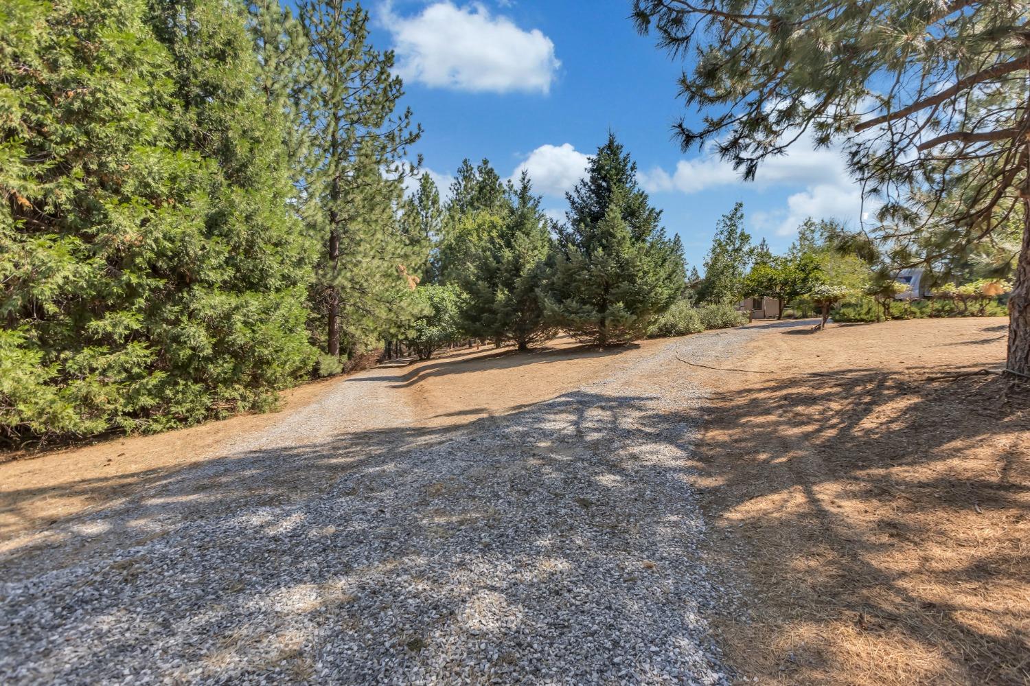 Detail Gallery Image 92 of 97 For 6255 Sly Park Rd, Placerville,  CA 95667 - 3 Beds | 5 Baths