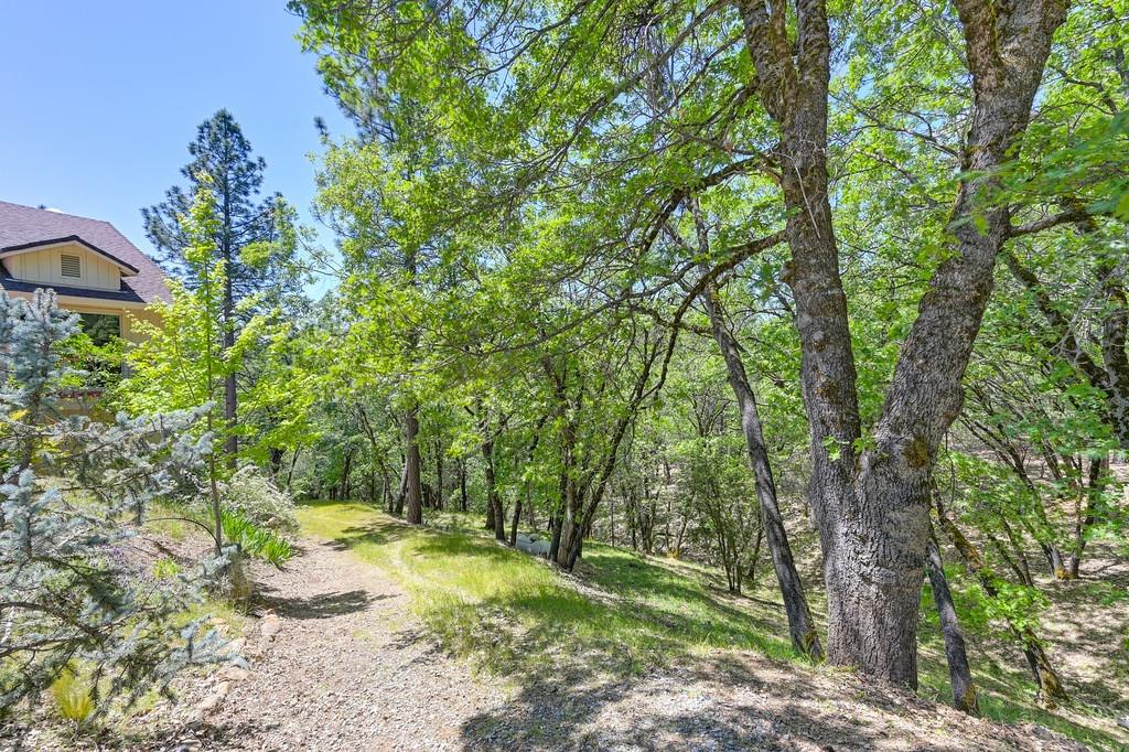 Detail Gallery Image 8 of 61 For 3325 Promenade Ln, Placerville,  CA 95667 - 4 Beds | 3 Baths