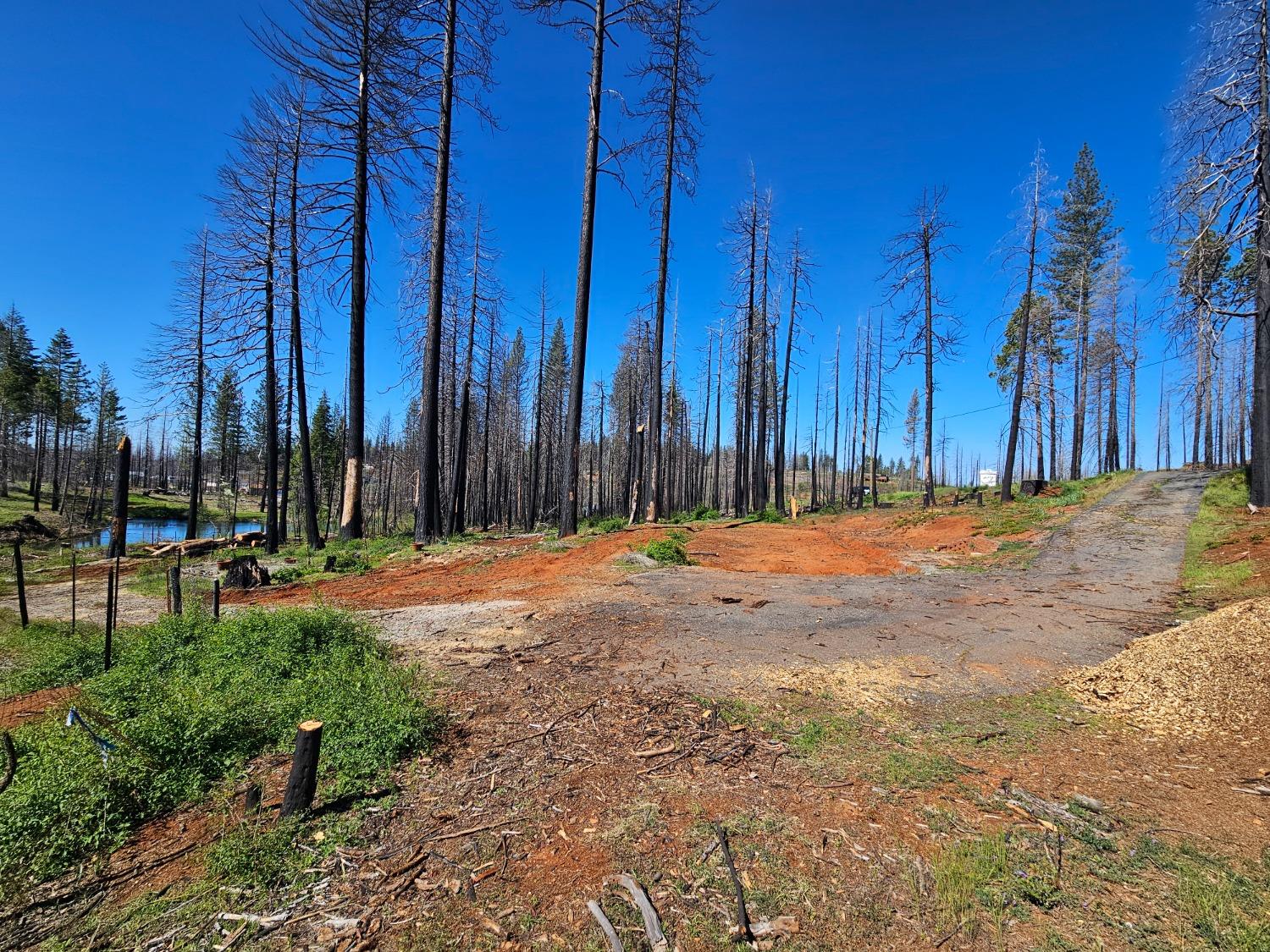 String Canyon Road, Grizzly Flats, California image 4