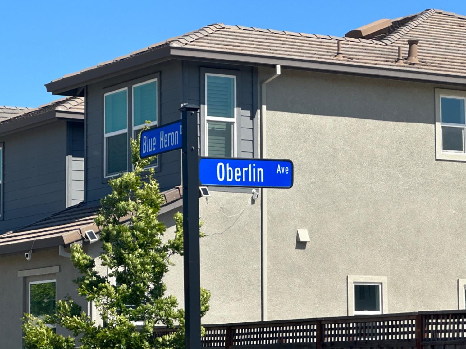 Oberlin Avenue, Lathrop, California image 36