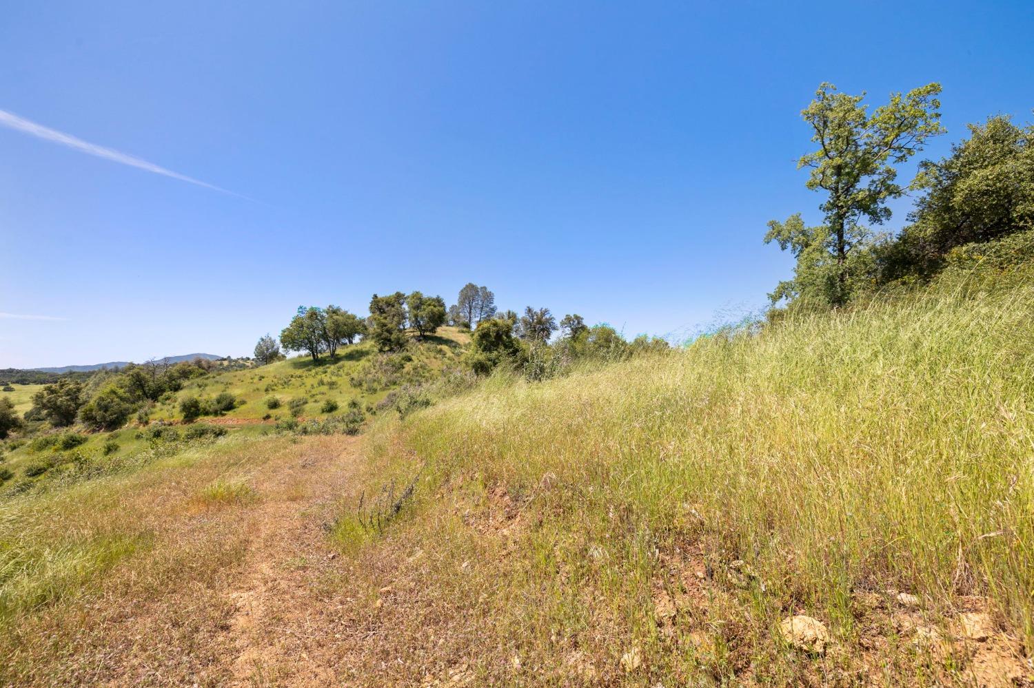 Fraguero Road, Sonora, California image 3