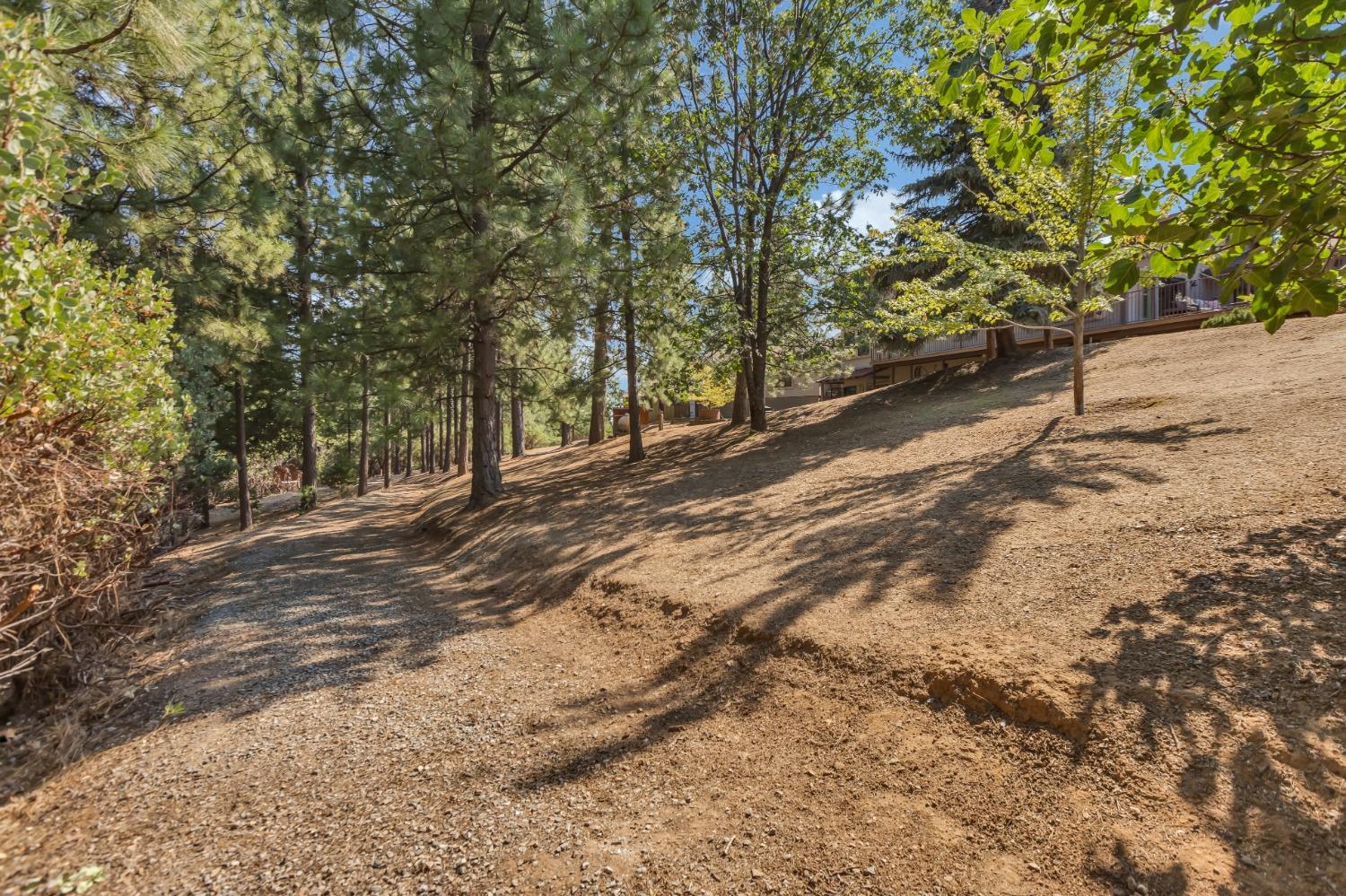 Detail Gallery Image 92 of 98 For 6255 Sly Park Rd, Placerville,  CA 95667 - 3 Beds | 5 Baths