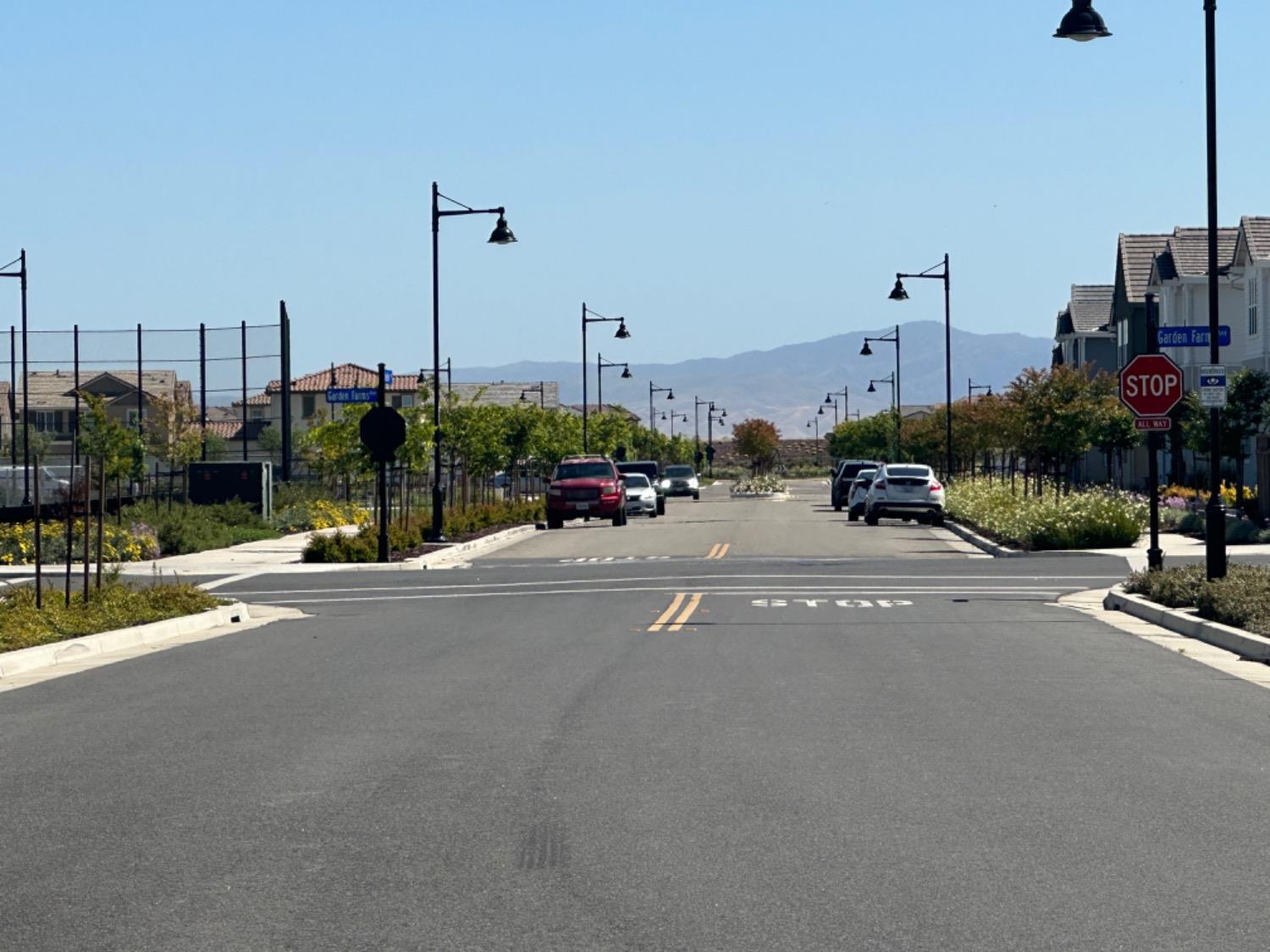 Oberlin Avenue, Lathrop, California image 37