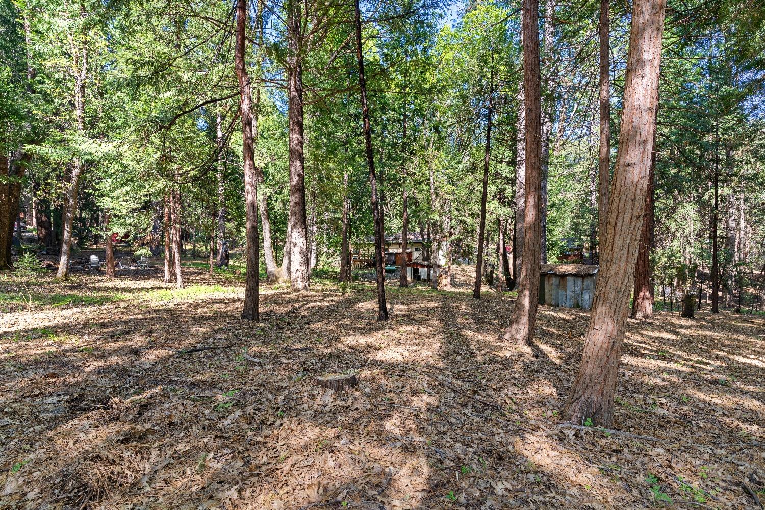 Detail Gallery Image 23 of 72 For 12428 Dobbins Dr., Nevada City,  CA 95959 - 1 Beds | 1 Baths