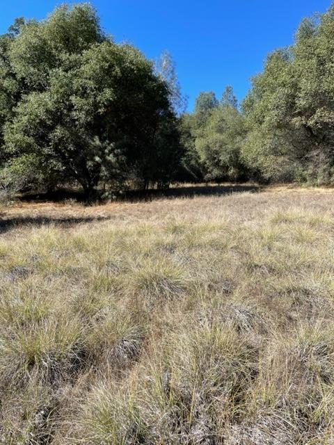 Detail Gallery Image 18 of 18 For 6360 Claim St, Placerville,  CA 95667 - – Beds | – Baths