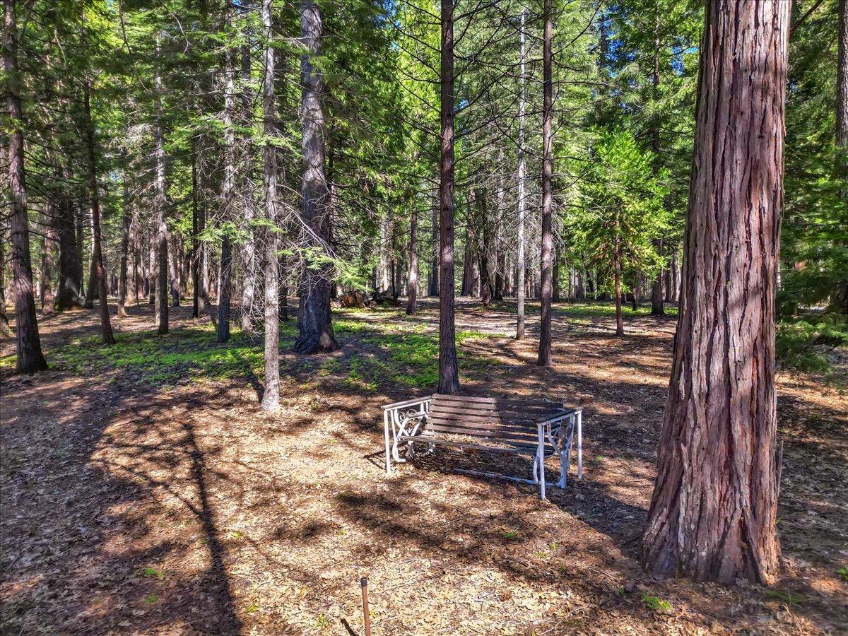 Detail Gallery Image 57 of 71 For 19975 Scotts Flat Rd, Nevada City,  CA 95959 - 3 Beds | 3/1 Baths