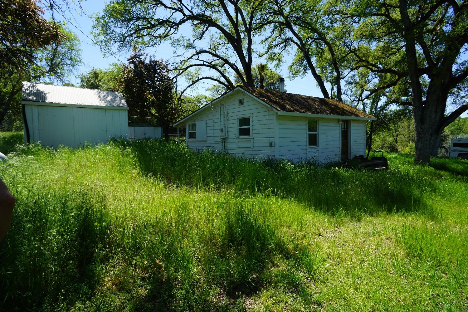 Mother Lode Drive, Shingle Springs, California image 4