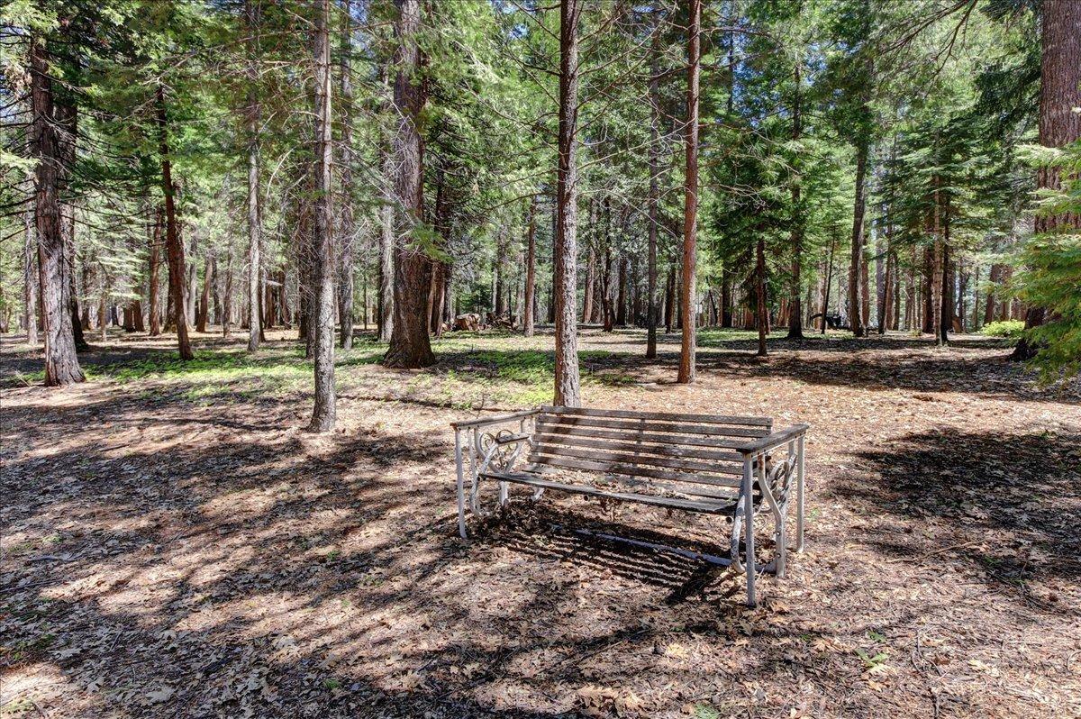 Detail Gallery Image 63 of 71 For 19975 Scotts Flat Rd, Nevada City,  CA 95959 - 3 Beds | 3/1 Baths