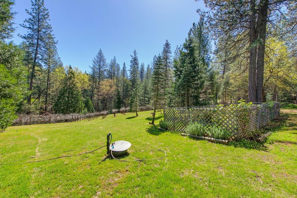Detail Gallery Image 69 of 91 For 4001 Knobcone Ln, Placerville,  CA 95667 - 3 Beds | 2/1 Baths
