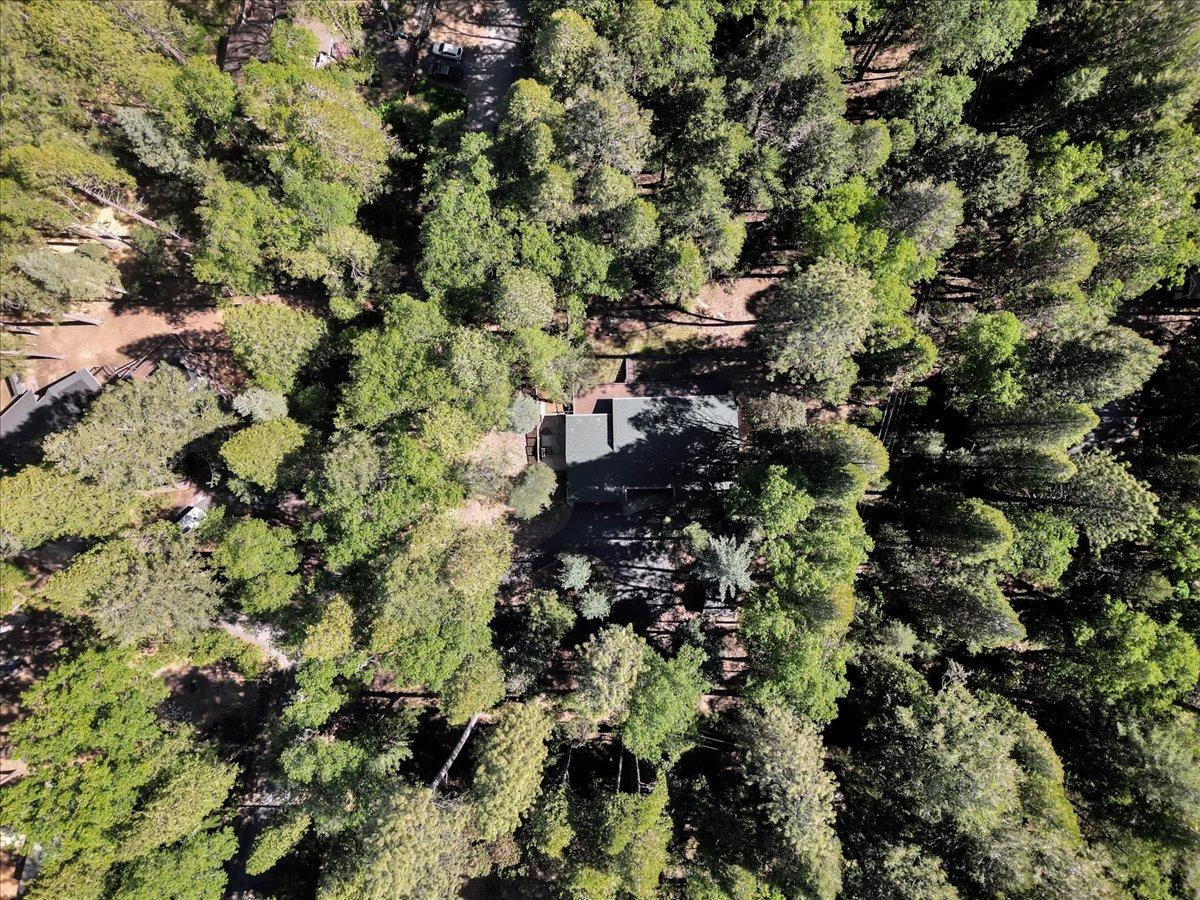 Detail Gallery Image 61 of 99 For 12392 Hillcrest Dr, Nevada City,  CA 95959 - 4 Beds | 2/1 Baths