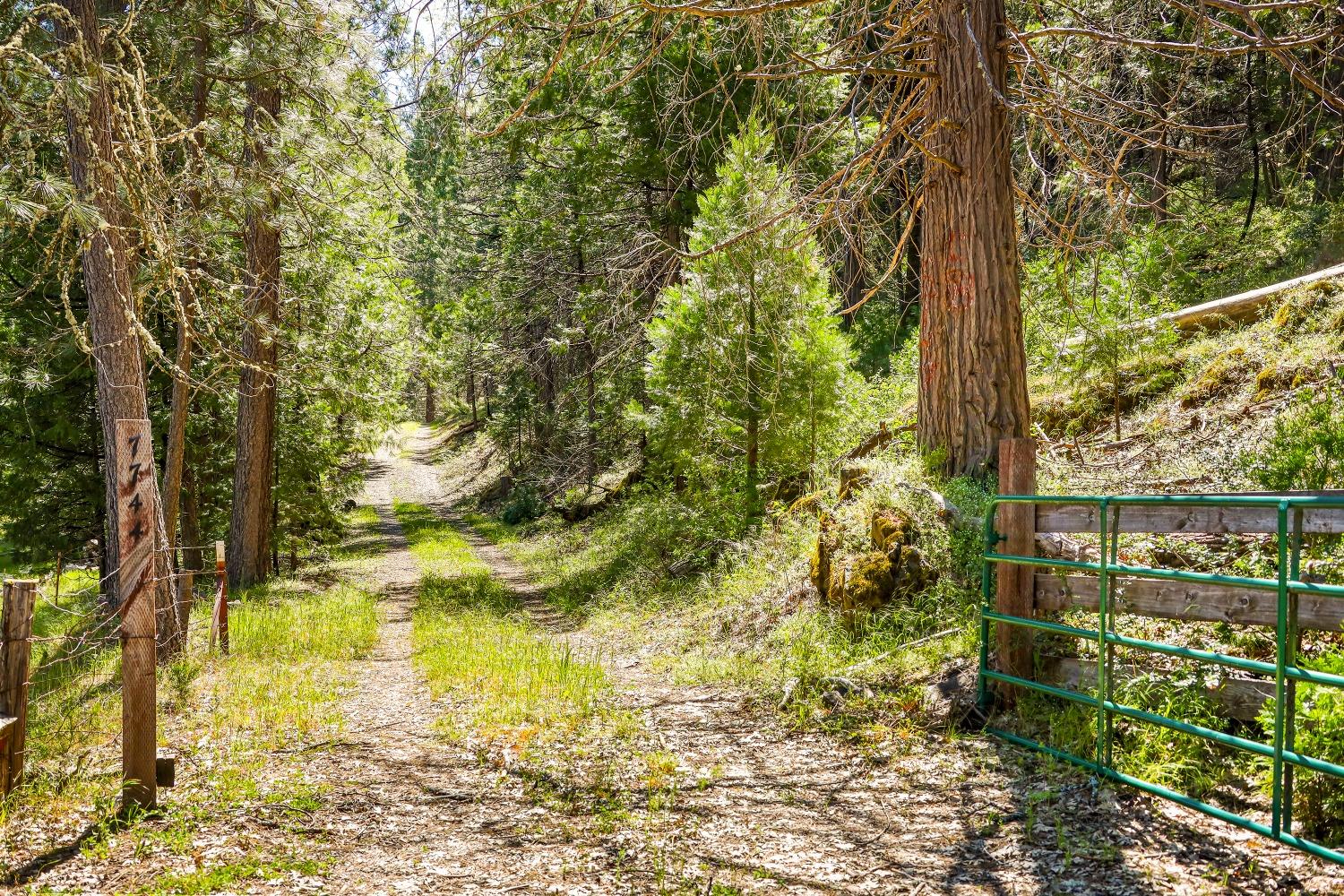 Swiss Ranch Road, Mountain Ranch, California image 3