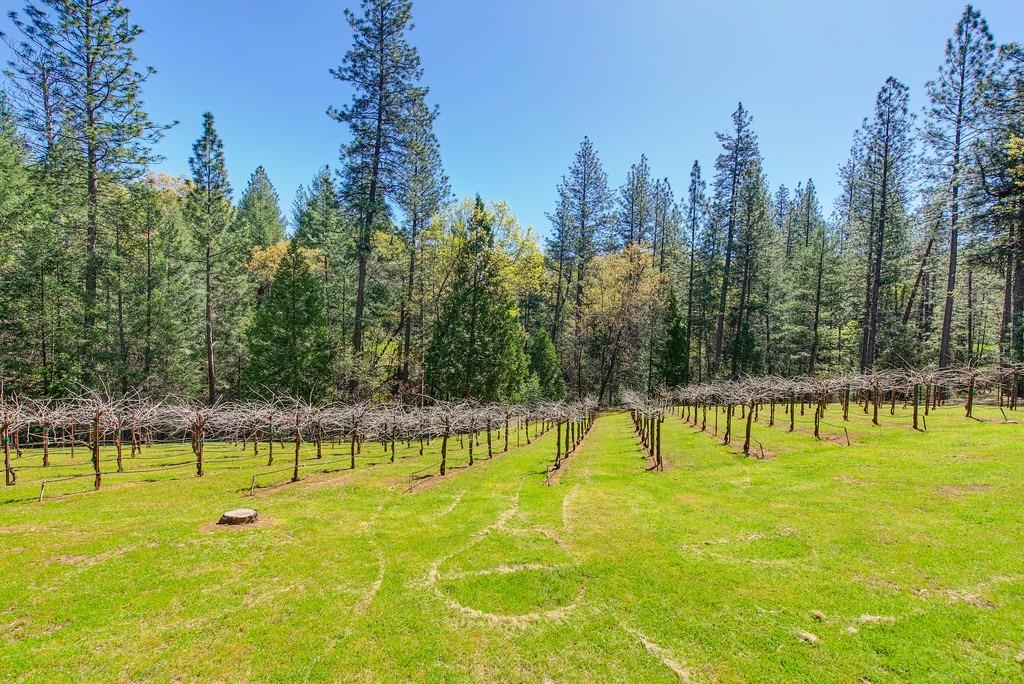 Detail Gallery Image 67 of 91 For 4001 Knobcone Ln, Placerville,  CA 95667 - 3 Beds | 2/1 Baths