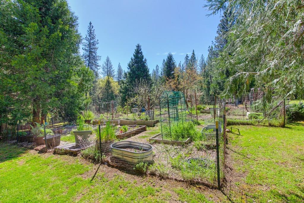 Detail Gallery Image 80 of 91 For 4001 Knobcone Ln, Placerville,  CA 95667 - 3 Beds | 2/1 Baths