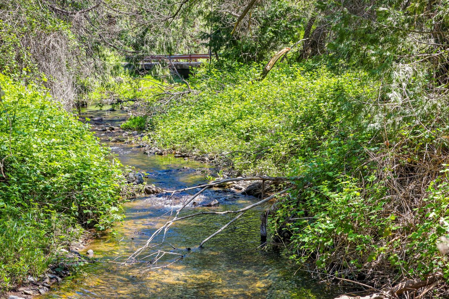 Swiss Ranch Road, Mountain Ranch, California image 36